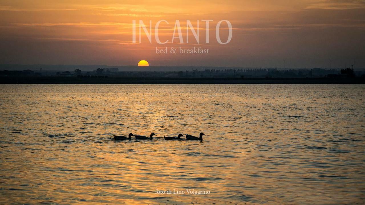 Incanto B&B Lesina Bagian luar foto