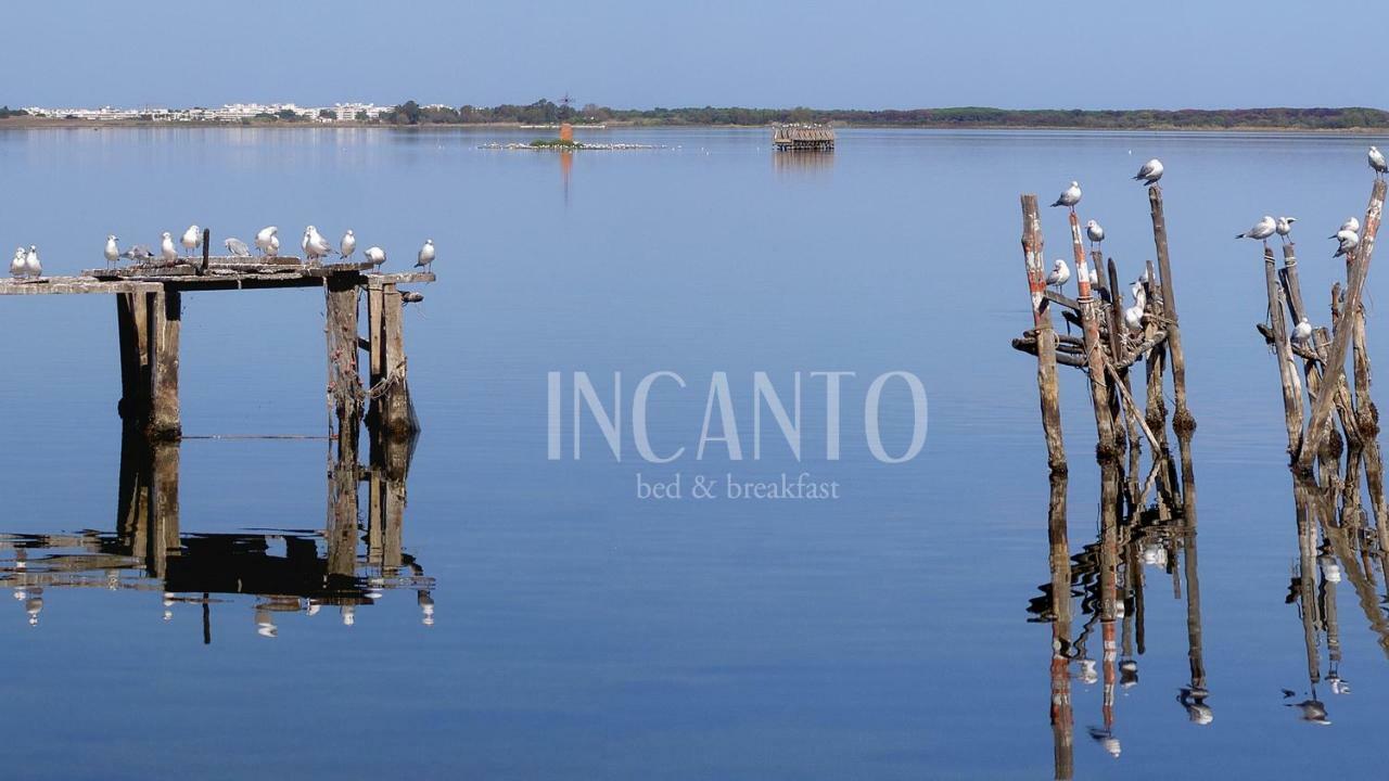 Incanto B&B Lesina Bagian luar foto